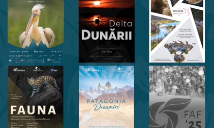 Spectacolul naturii se dezvăluie la Brașov în expozițiile de fotografie de la LYNX festival