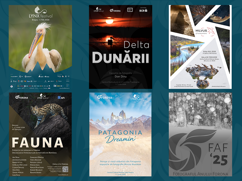 Spectacolul naturii se dezvăluie la Brașov în expozițiile de fotografie de la LYNX festival