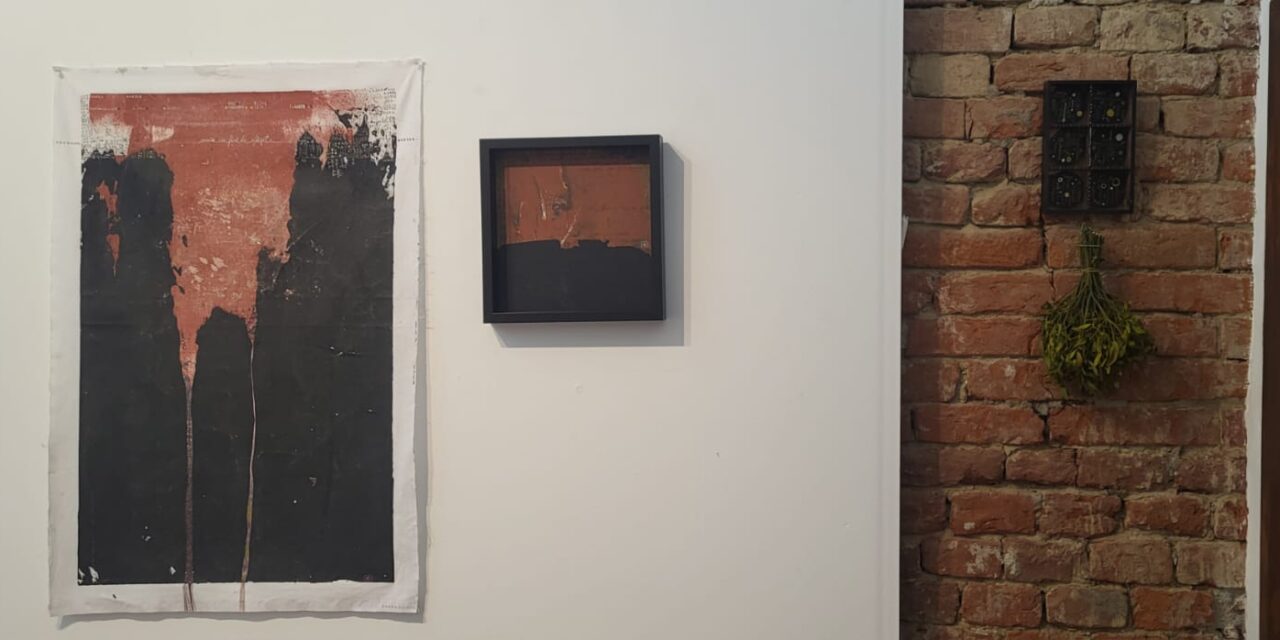 Roxana Donaldson | noduri+semne