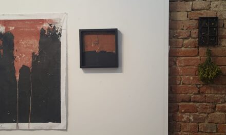 Roxana Donaldson | noduri+semne