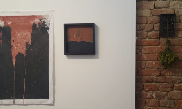 Roxana Donaldson | noduri+semne
