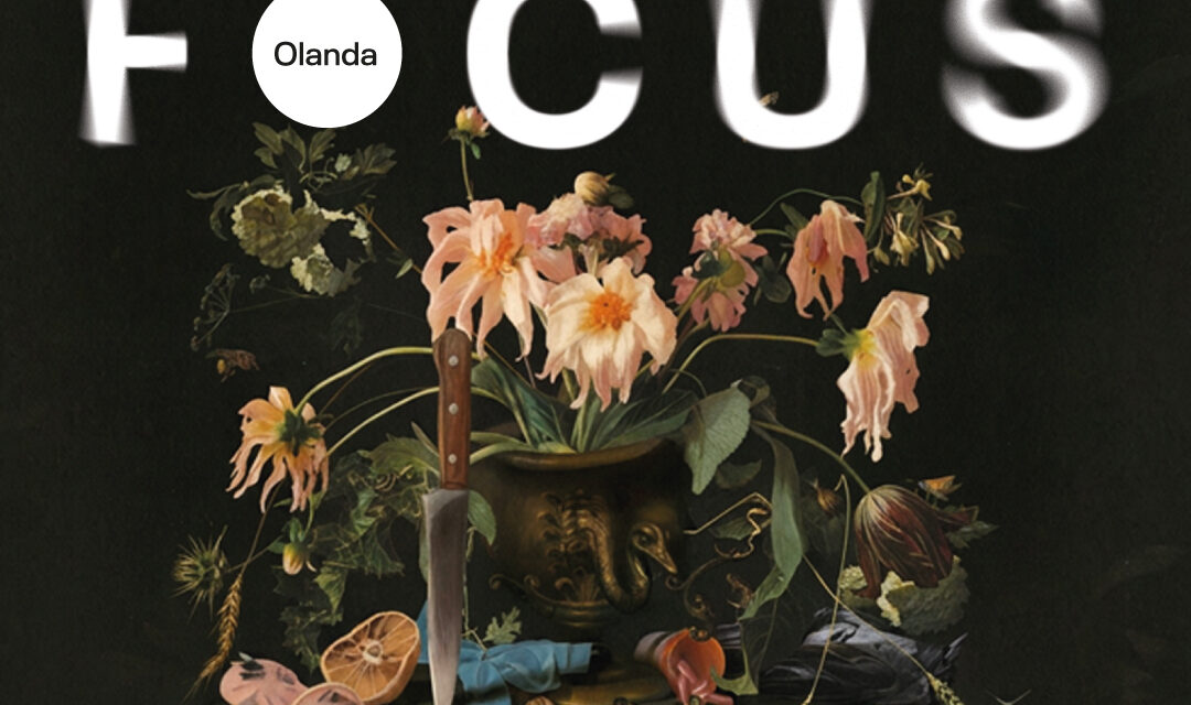 Focus Olanda la TIFF.25: mistere neliniștitoare, realism absurd și clasici care au făcut istorie