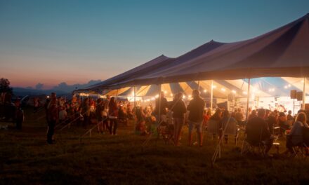 CamperVan Fest, cel mai sustenabil festival din România, aniversează cinci ediții între 4 și 7 iunie 2026, la Râșnov