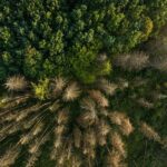 De Ziua Mediului, Parcul Natural Vânători Neamț arată cum poate funcționa echilibrul dintre protecția naturii, managementul forestier și comunitate