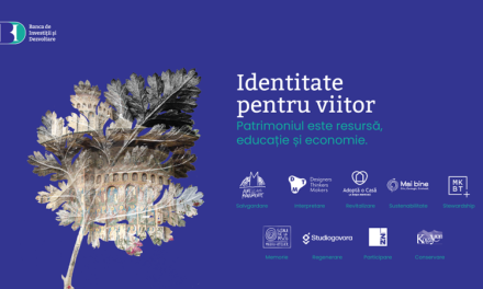 Cum poate un sat să devină o resursă educațională, mobilizându-și comunitatea prin meșteșug și cultură