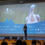 Documentarul „Cântecul pădurii”, regizat de Vincent Munier, câștigătorul LYNX festival, Brașov