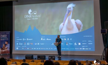Documentarul „Cântecul pădurii”, regizat de Vincent Munier, câștigătorul LYNX festival, Brașov