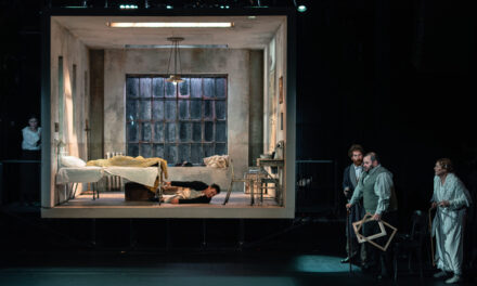 Teatrul EXCELSIOR încheie stagiunea 2025–2026 cu peste 35.000 de spectatori, cinci premiere, numeroase nominalizări și premii