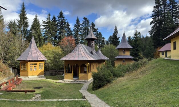 Parcul Natural Vânători Neamț devine singurul parc natural din România care poate fi descoperit în format treasure hunt