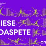 11 piese de dans noi marchează finalul Laboratoarelor Academiei de Dans și Performance CNDB