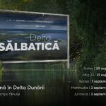 Caravana „Delta Sălbatică” – proiecții gratuite în Delta Dunării, la Sulina, Mila 23, Tulcea, Mahmudia și Jurilovca