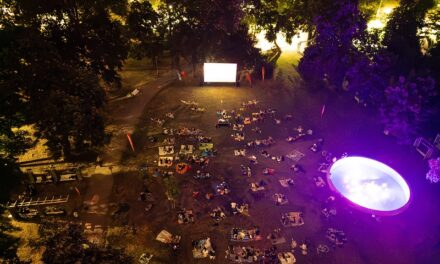 Peste 4400 de kilometri parcurși și un transfer real de expertiză: Bilanțul „Animest SUPER”, un proiect de accesibilizare a cinematografiei