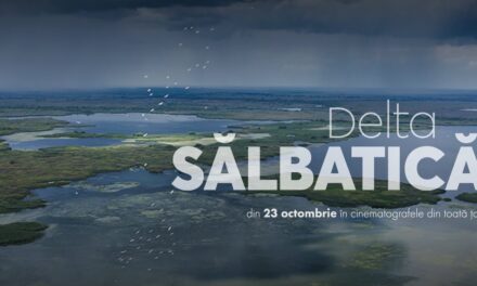 Echipa documentarului „Delta Sălbatică” susține proiectele de reconstrucție ecologică și renaturare derulate de organizațiile de mediu