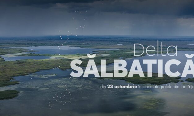 Echipa documentarului „Delta Sălbatică” susține proiectele de reconstrucție ecologică și renaturare derulate de organizațiile de mediu