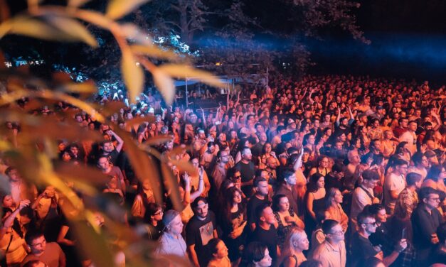 Peste 35.000 de oameni au sărbătorit zece ediții de Festival Strada Armenească în Grădina Botanică