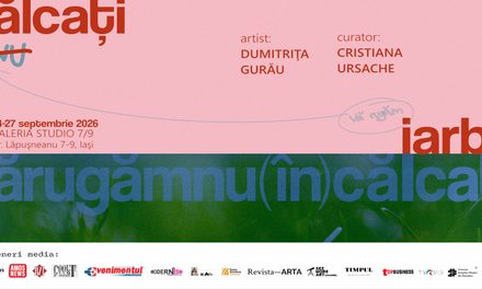 „Vă rugăm, nu călcați iarba!” | Primul solo-show Dumitrița Gurău, la Galeria Studio 7/9 Iași curatoriat de Cristiana Ursache