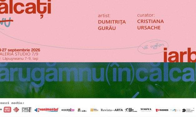 „Vă rugăm, nu călcați iarba!” | Primul solo-show Dumitrița Gurău, la Galeria Studio 7/9 Iași curatoriat de Cristiana Ursache
