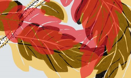 „Lazos y trazos / Legături și tușe – expoziție de ilustrație la Institutul Cervantes din București (24 septembrie – 18 decembrie 2026) | Trei ilustratori spanioli și trei români într-un dialog vizual între cele două culturi