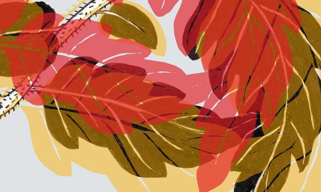 „Lazos y trazos / Legături și tușe – expoziție de ilustrație la Institutul Cervantes din București (24 septembrie – 18 decembrie 2026) | Trei ilustratori spanioli și trei români într-un dialog vizual între cele două culturi