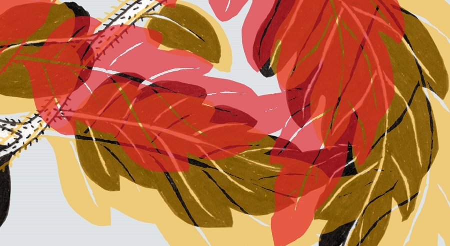 „Lazos y trazos / Legături și tușe – expoziție de ilustrație la Institutul Cervantes din București (24 septembrie – 18 decembrie 2026) | Trei ilustratori spanioli și trei români într-un dialog vizual între cele două culturi