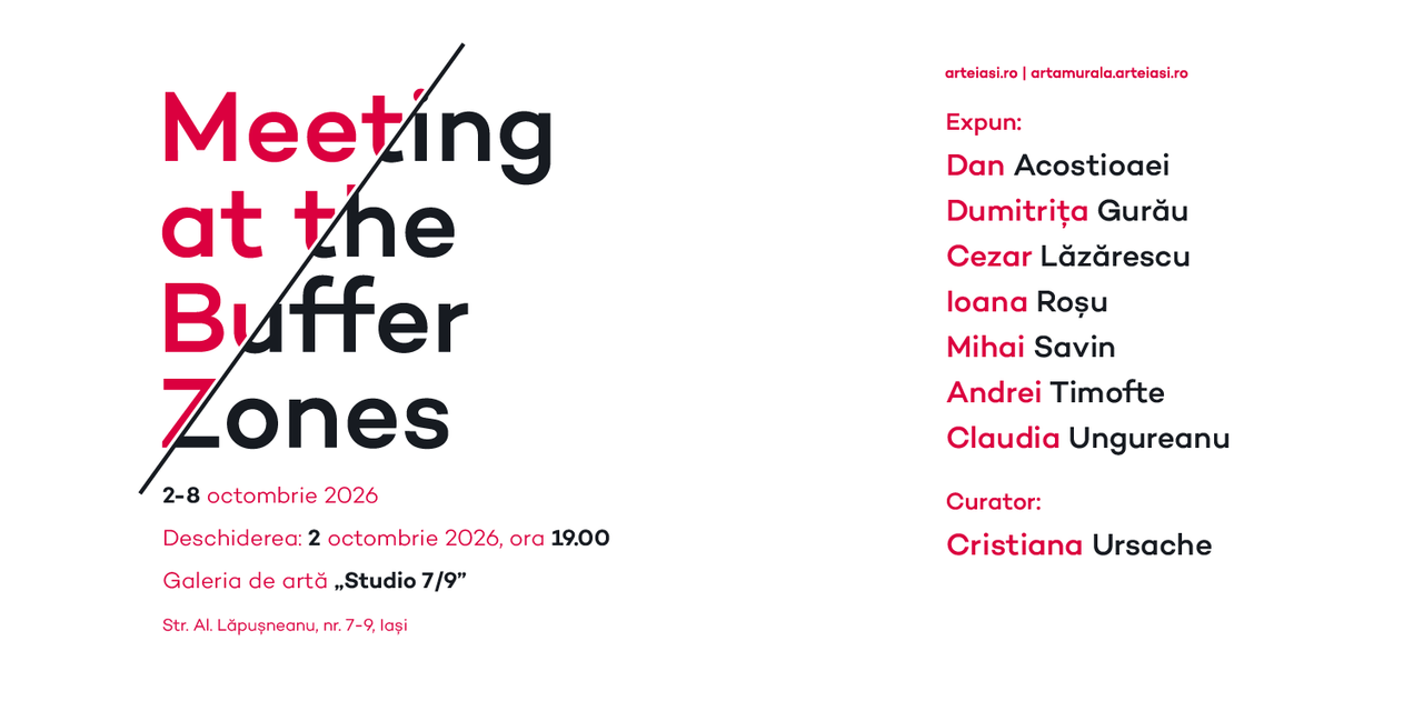 Meeting at the Buffer Zones group show at Studio Gallery 7/9 Iași