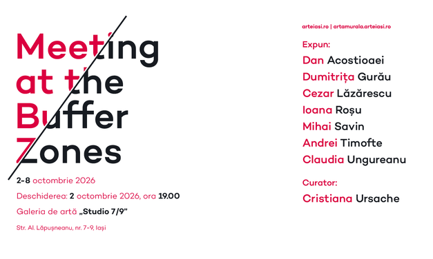 Meeting at the Buffer Zones group show at Studio Gallery 7/9 Iași