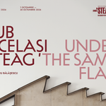 „Sub același steag” continuă la Iași seria „În umbra steagului: dialoguri pentru democrație”