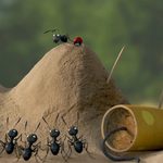 Începe Animest.21! 10 zile de natură urbană, zeci de premiere internaționale, masterclass-uri și invitați speciali la București