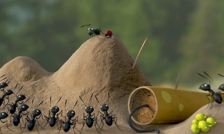 Începe Animest.21! 10 zile de natură urbană, zeci de premiere internaționale, masterclass-uri și invitați speciali la București