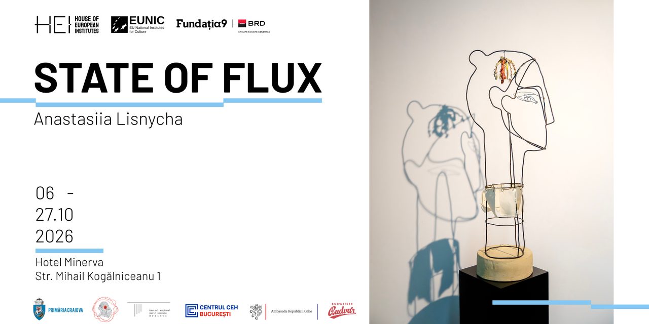 HEI – House of European Institutes, noul spațiu al culturii europene din Craiova, prezintă: State of Flux