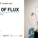 HEI – House of European Institutes, noul spațiu al culturii europene din Craiova, prezintă: State of Flux