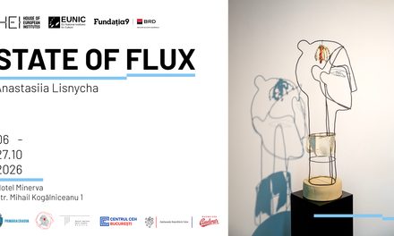 HEI – House of European Institutes, noul spațiu al culturii europene din Craiova, prezintă: State of Flux